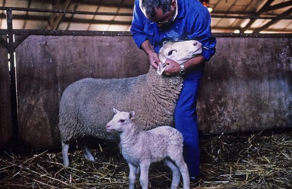 © Jane Atwood/Ministère agriculture