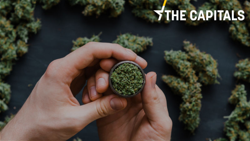 L’Italie se rapproche d’un référendum sur la dépénalisation du cannabis