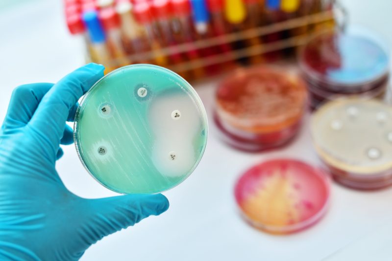 Plus d’un million de personnes sont mortes en 2019 à cause de microbes résistants aux antibiotiques