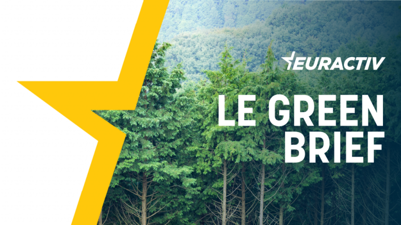 Le Green Brief : l’héritage hydroélectrique chaotique de l’Europe