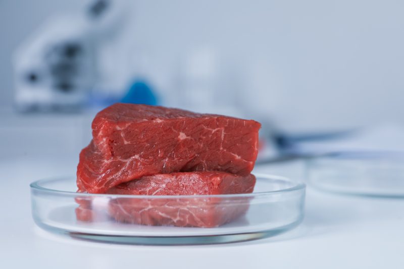 La Commission et les États de l’UE rejettent l’interdiction de la viande cultivée en laboratoire voulue par Budapest