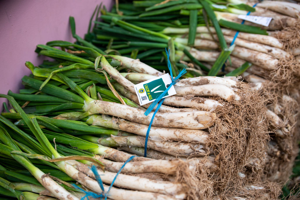 « War on terroir » : l’Europe prend l’avantage après la volte-face de l&rsquo;Australie