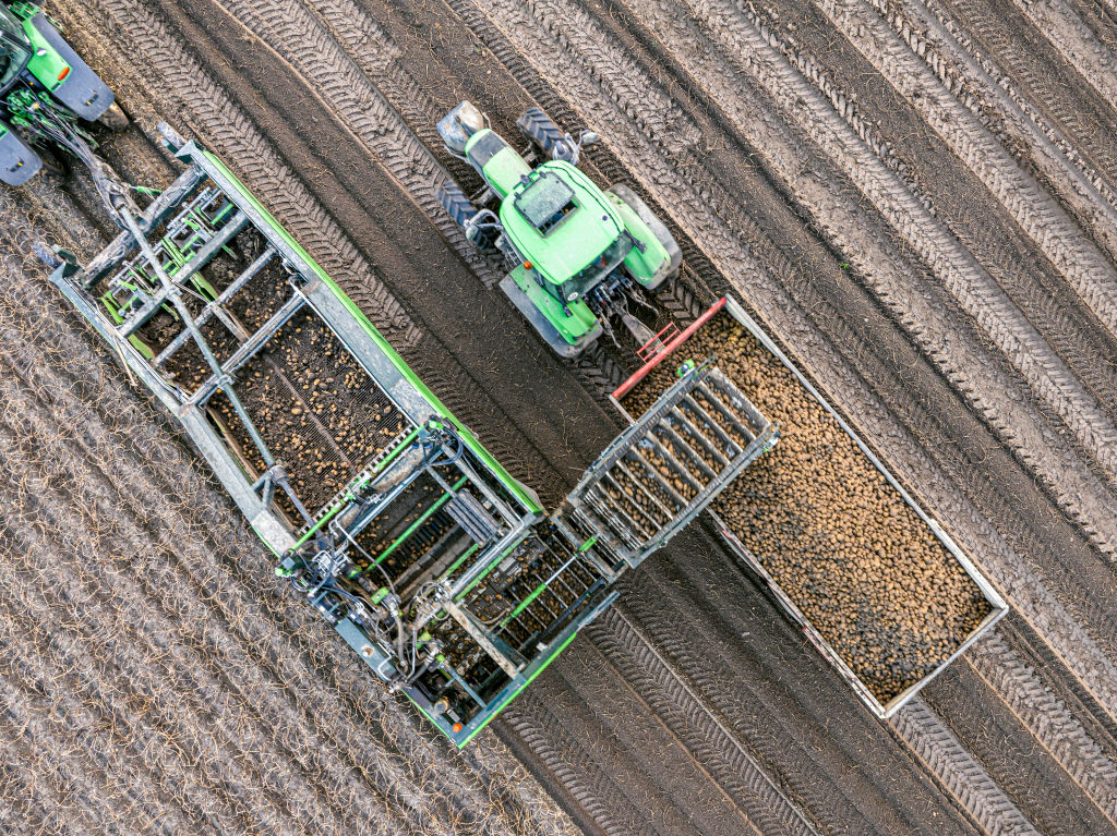 De la p&eacute;nurie &agrave; l&rsquo;exc&eacute;dent : les producteurs de pommes de terre de l&rsquo;UE confront&eacute;s &agrave; un revirement brutal du march&eacute;