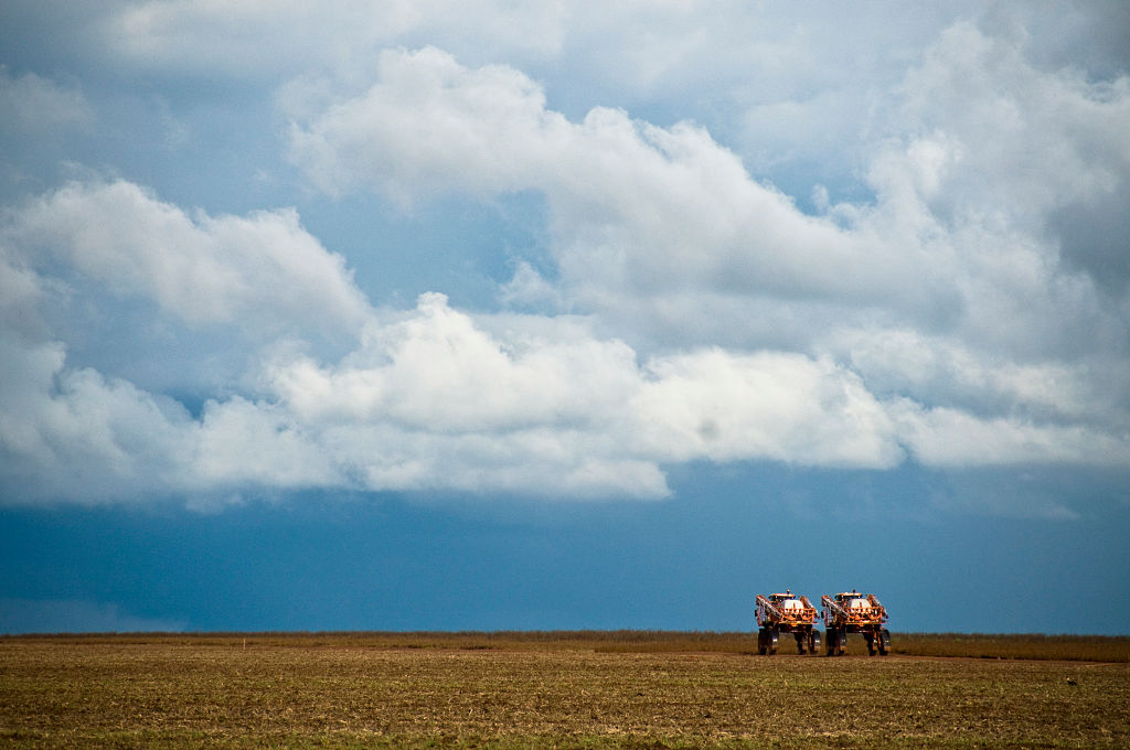 Les aliments import&eacute;s soumis &agrave; de nouvelles restrictions concernant les pesticides nocifs pour les abeilles